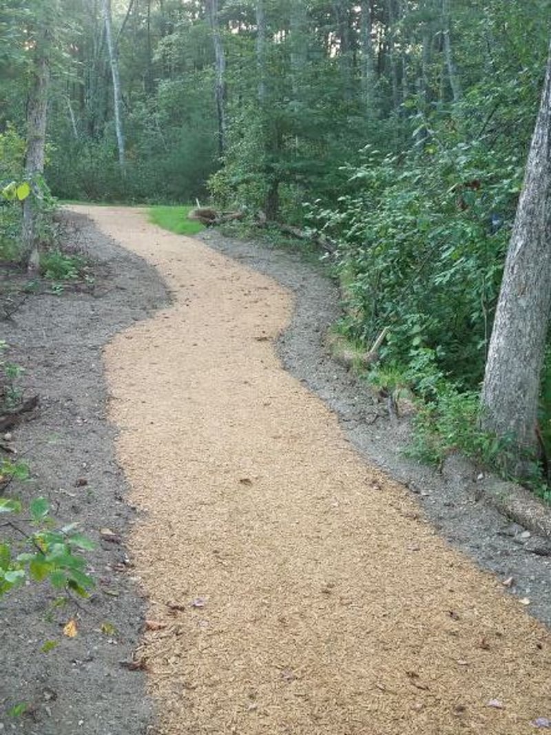 Ice House Pond Trail